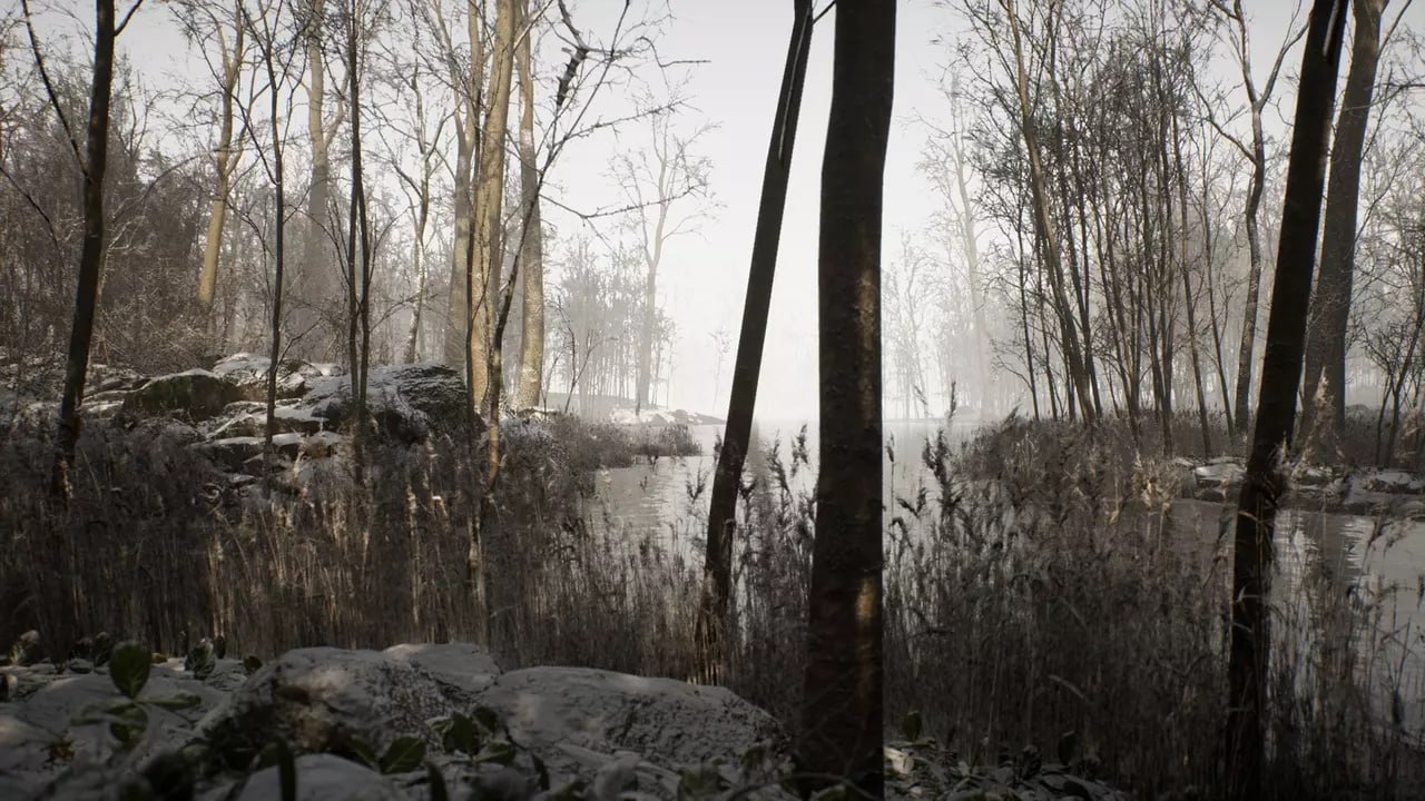 Procedural Forest📱 - изображение 3